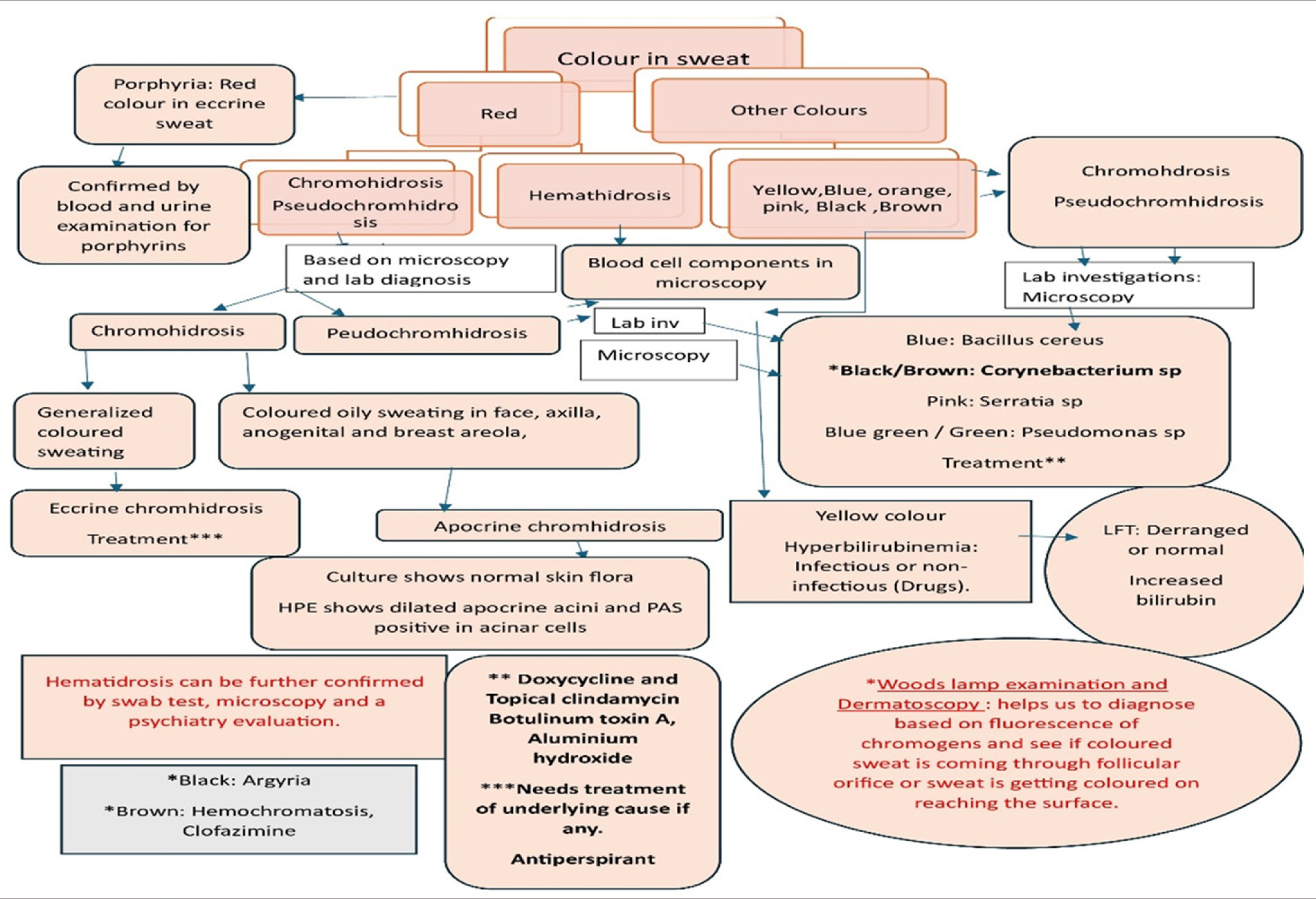 An algorithmic approach to a patient presenting with coloured sweating. (LFT: Liver function test, PAS: Periodic schiff.)